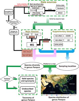 Species diversity and distribution of genus Pampus (Pelagiaria: Stromateidae) based on global mitochondrial data